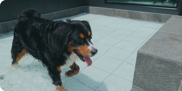 淡路島の愛犬と泊まれる貸別荘「ハウオリ」