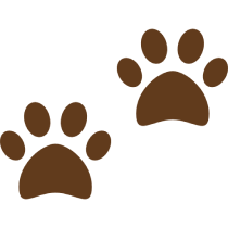 icon-pawprint01.png